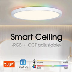 RGB Smart Ceiling Lamp – Voice Control, Alexa & Google Compatible