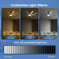 62" Ceiling Fan with Light & Remote – Quiet DC Motor, Dimmable