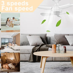 E27 LED Ceiling Fan Light – 3 Gear Fan with Remote