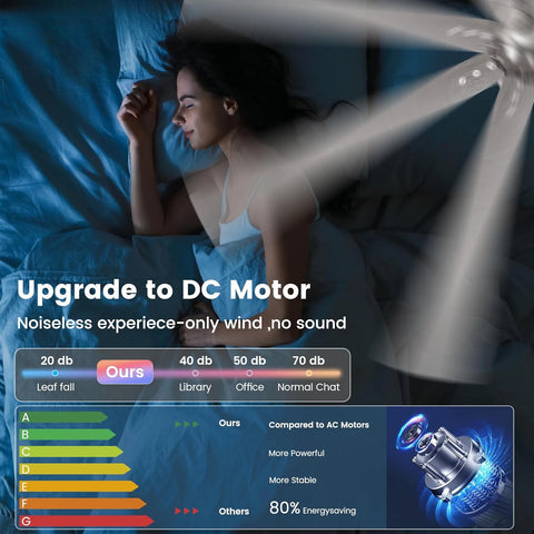 62" Ceiling Fan with Light & Remote – Quiet DC Motor, Dimmable