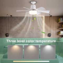 Ceiling Fan Light with Remote – Dimmable 6-Blade LED Fan