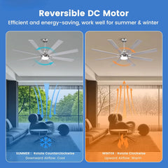 62" Ceiling Fan with Light & Remote – Quiet DC Motor, Dimmable