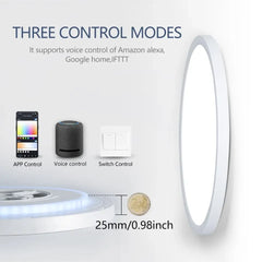 RGB Smart Ceiling Lamp – Voice Control, Alexa & Google Compatible