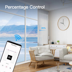 MOES Tuya WiFi Smart Electric Chain Roller Blinds – Alexa/Google Control