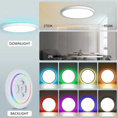 RGB Smart Ceiling Lamp – Voice Control, Alexa & Google Compatible