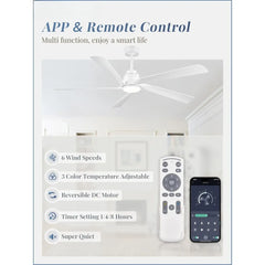 64" Smart Ceiling Fan with Lights and Remote – DC Motor, Dimmable