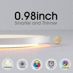 RGB Smart Ceiling Lamp – Voice Control, Alexa & Google Compatible